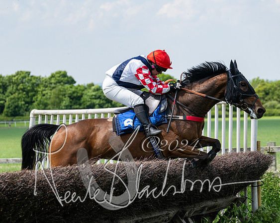 RAce 1 - Conditionsn [Level 2] (158 of 219)