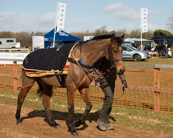 Race 1 - 4-5-6 Maiden (23 of 119).jpg