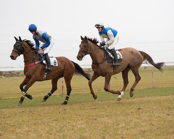 Race 6 - Open Maiden (50 of 120).jpg
