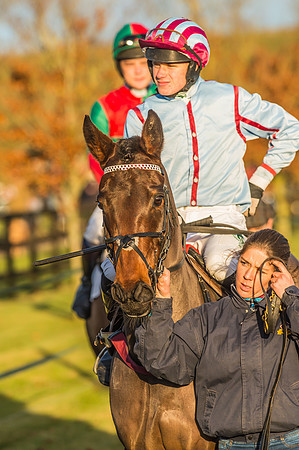 Race 6 - 4 5 6 yr old 2m4f Maiden Race-30