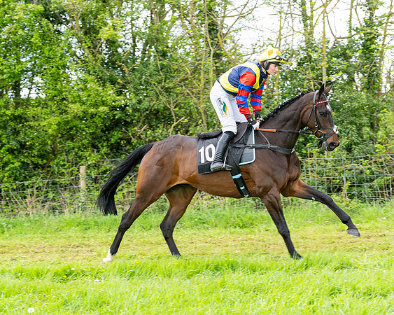 Race 2 - 2M4F Conditions (47 of 195)
