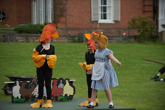 Fantastic Mr Fox 100