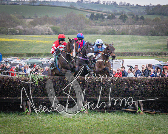 Race 6 - The Restricted Race (64 of 101)