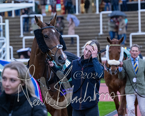 Race 7 - Glos Hussars (6 of 220)