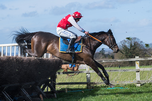 Race 1 - Open Maiden Div 1  (1 of 39)