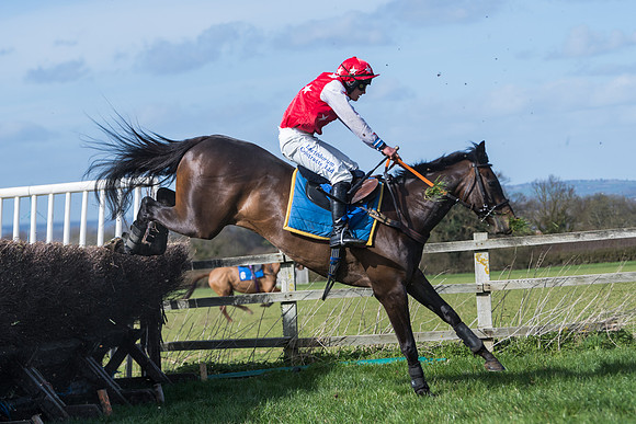 Race 1 - Open Maiden Div 1  (2 of 39)