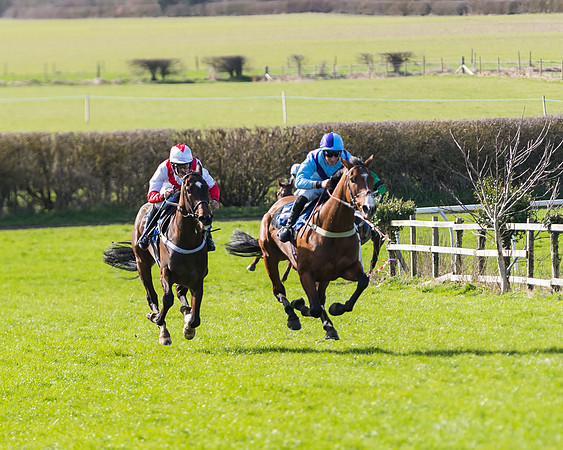 Race 1 - Open Maiden Div 1  (3 of 39)