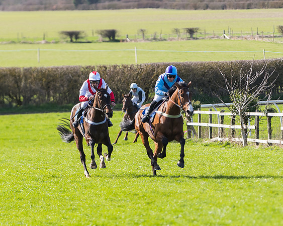 Race 1 - Open Maiden Div 1  (4 of 39)