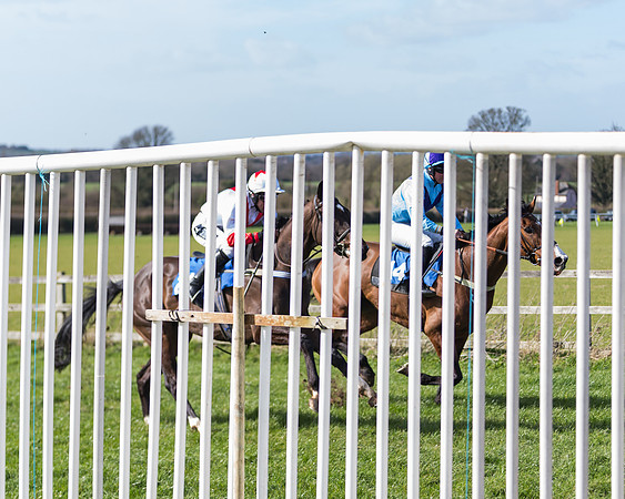 Race 1 - Open Maiden Div 1  (8 of 39)