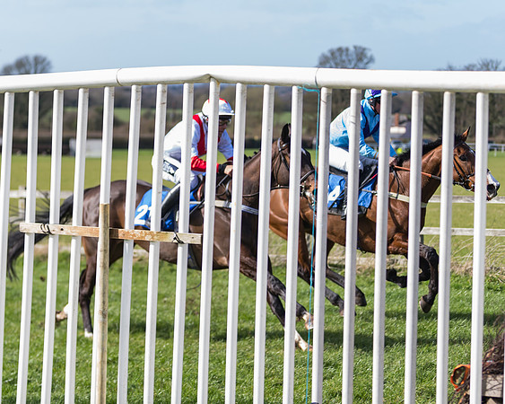 Race 1 - Open Maiden Div 1  (9 of 39)