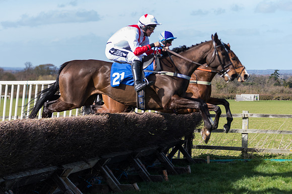 Race 1 - Open Maiden Div 1  (15 of 39)