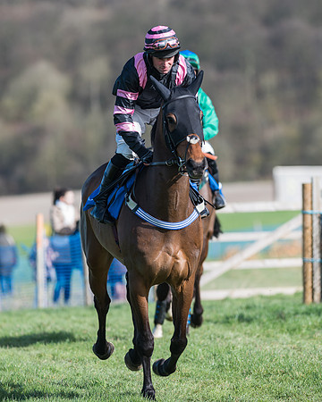 Race 1 - Open Maiden Div 2 (2 of 87)