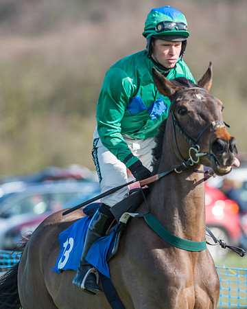 Race 1 - Open Maiden Div 2 (3 of 87)