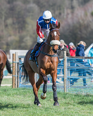 Race 1 - Open Maiden Div 2 (7 of 87)