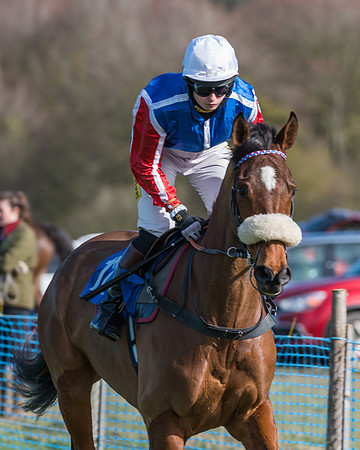 Race 1 - Open Maiden Div 2 (8 of 87)