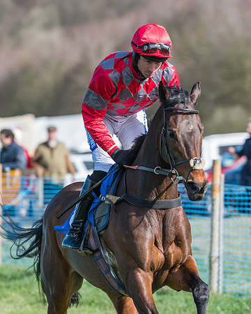 Race 1 - Open Maiden Div 2 (9 of 87)