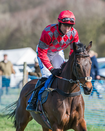 Race 1 - Open Maiden Div 2 (10 of 87)