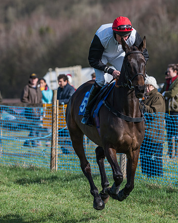 Race 1 - Open Maiden Div 2 (12 of 87)