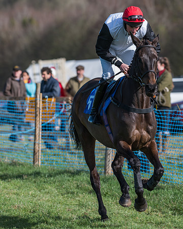 Race 1 - Open Maiden Div 2 (13 of 87)