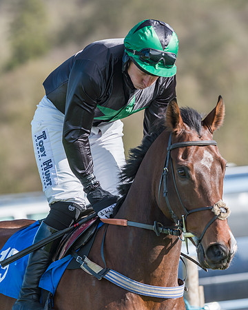 Race 1 - Open Maiden Div 2 (18 of 87)