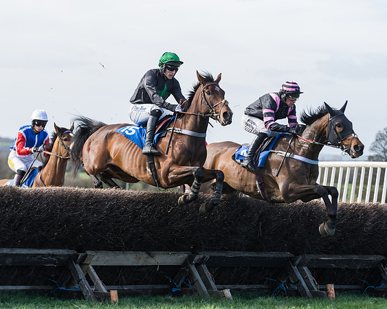 Race 1 - Open Maiden Div 2 (27 of 87)