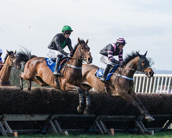 Race 1 - Open Maiden Div 2 (28 of 87)