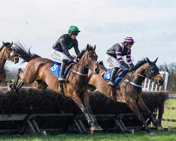 Race 1 - Open Maiden Div 2 (30 of 87)