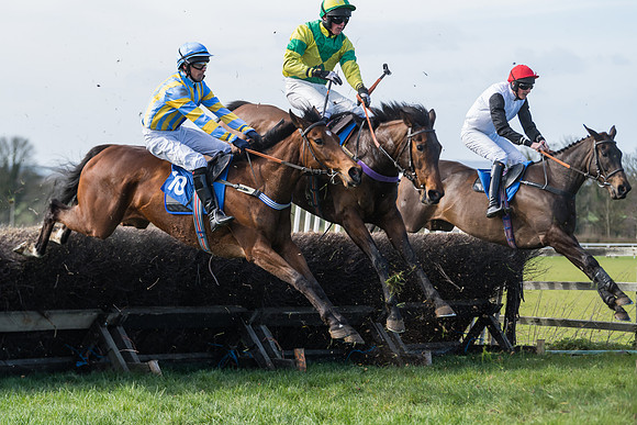 Race 1 - Open Maiden Div 2 (38 of 87)