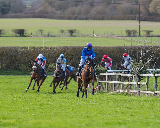 Race 1 - Open Maiden Div 2 (39 of 87)
