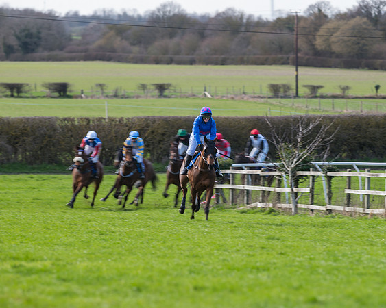 Race 1 - Open Maiden Div 2 (40 of 87)