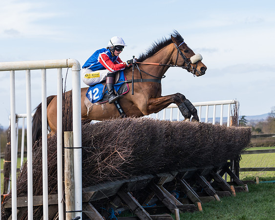 Race 1 - Open Maiden Div 2 (45 of 87)