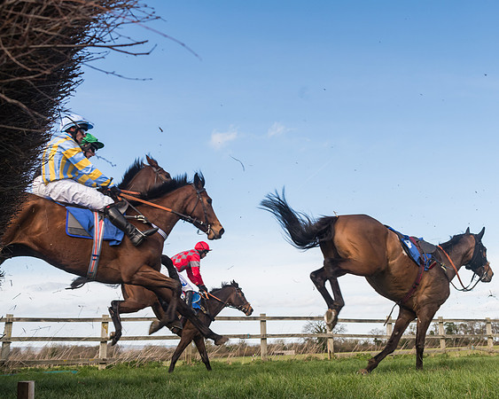 Race 1 - Open Maiden Div 2 (50 of 87)