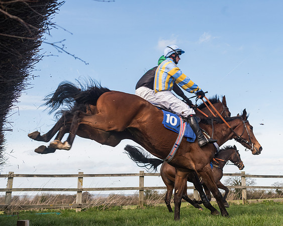 Race 1 - Open Maiden Div 2 (53 of 87)