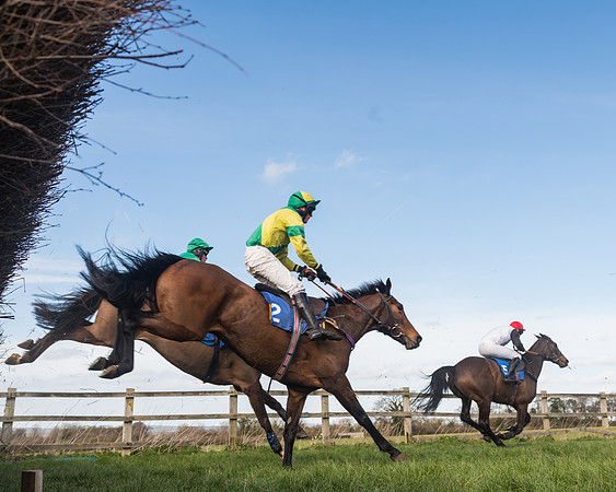 Race 1 - Open Maiden Div 2 (57 of 87)