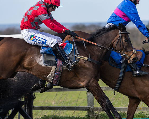 Race 1 - Open Maiden Div 2 (63 of 87)