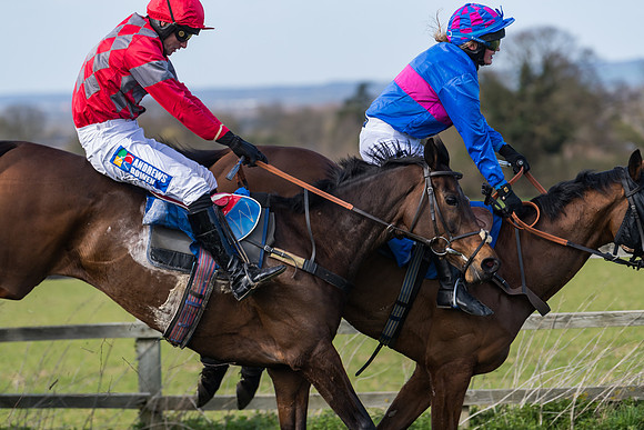 Race 1 - Open Maiden Div 2 (65 of 87)