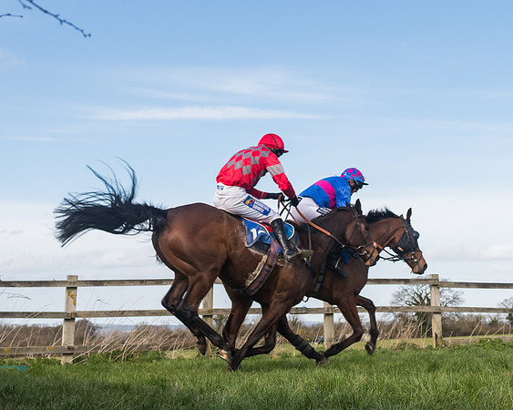 Race 1 - Open Maiden Div 2 (66 of 87)