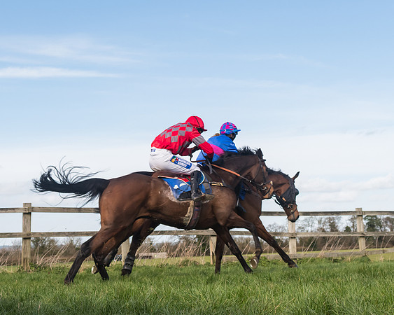 Race 1 - Open Maiden Div 2 (67 of 87)