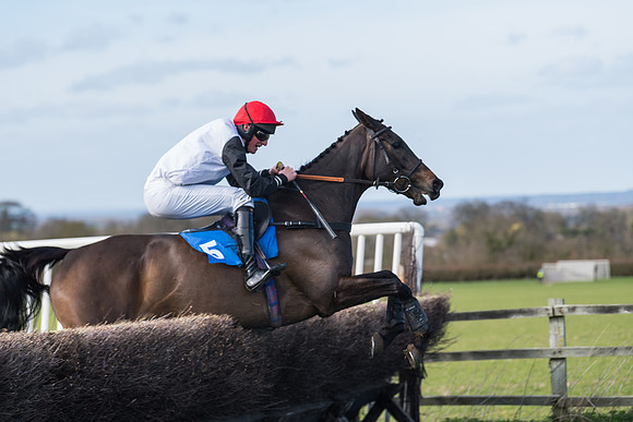 Race 1 - Open Maiden Div 2 (70 of 87)