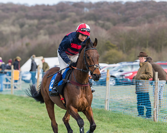 Race 3 - Ladies Open (5 of 82)