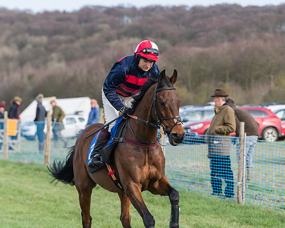 Race 3 - Ladies Open (6 of 82)