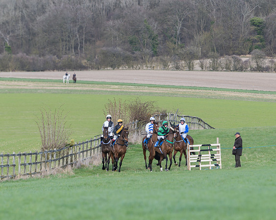 Race 5  - Restricted Race (2 of 64)