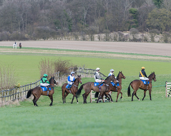 Race 5  - Restricted Race (3 of 64)