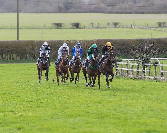 Race 5  - Restricted Race (4 of 64)