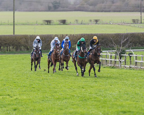 Race 5  - Restricted Race (5 of 64)