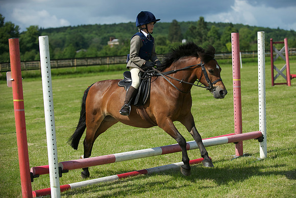 SOHS PC Summer Show at BCA 17th June 2012