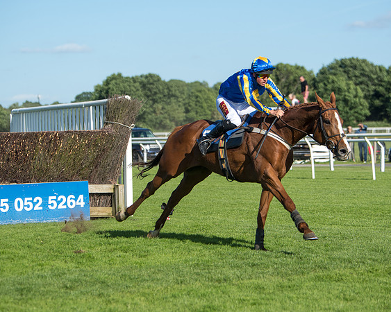 Race 1 - PPSA Open Hunter chase (54 of 78)