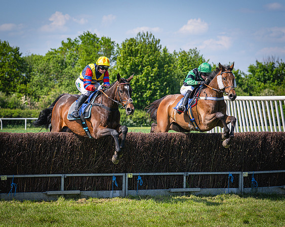 Race 3 The College and County Ladies Open Race (63 of 122)