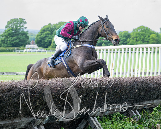 Race 2 - Restricted  (268 of 308)
