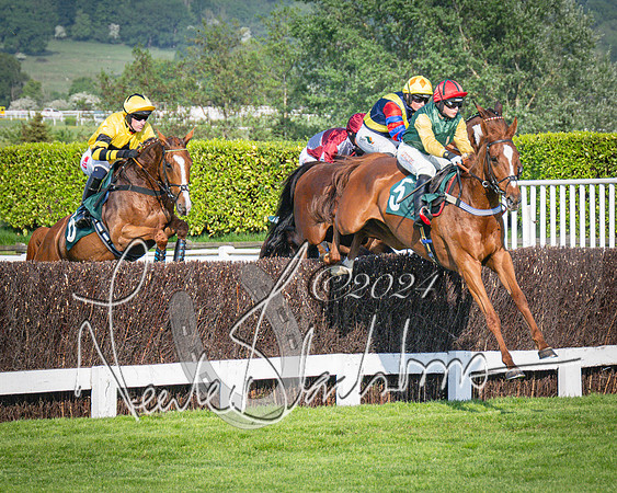 Race 3 - The Junior Jumpers open hunter's steeple chase 3m1f56y (50 of 156)